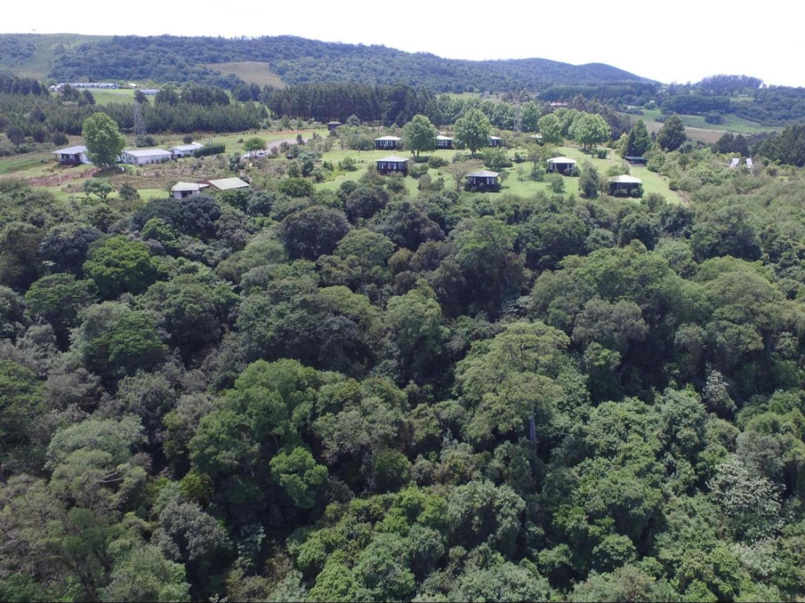 Midlands Forest Lodge Balgowan Zewnętrze zdjęcie