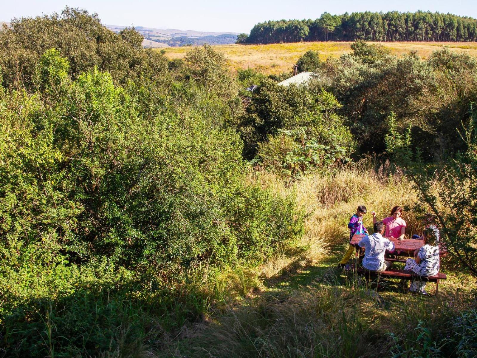 Midlands Forest Lodge Balgowan Zewnętrze zdjęcie